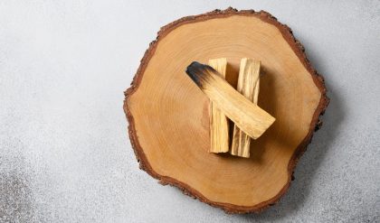 lemn de palo santo pe e-palosanto.com